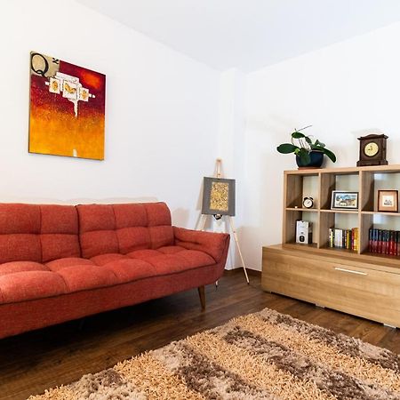 Nature Apartment - Minutes Away From The Old Town And Afi Mall 布拉索夫 外观 照片
