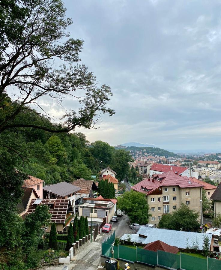 Nature Apartment - Minutes Away From The Old Town And Afi Mall 布拉索夫 外观 照片