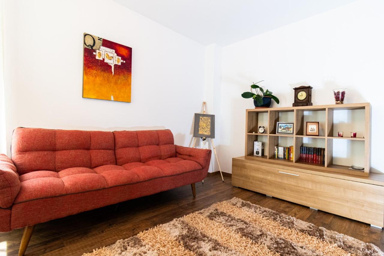 Nature Apartment - Minutes Away From The Old Town And Afi Mall 布拉索夫 外观 照片
