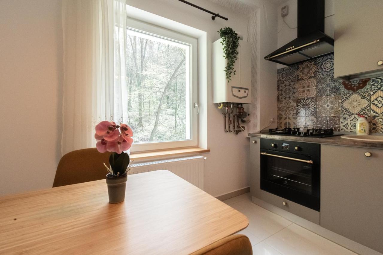 Nature Apartment - Minutes Away From The Old Town And Afi Mall 布拉索夫 外观 照片