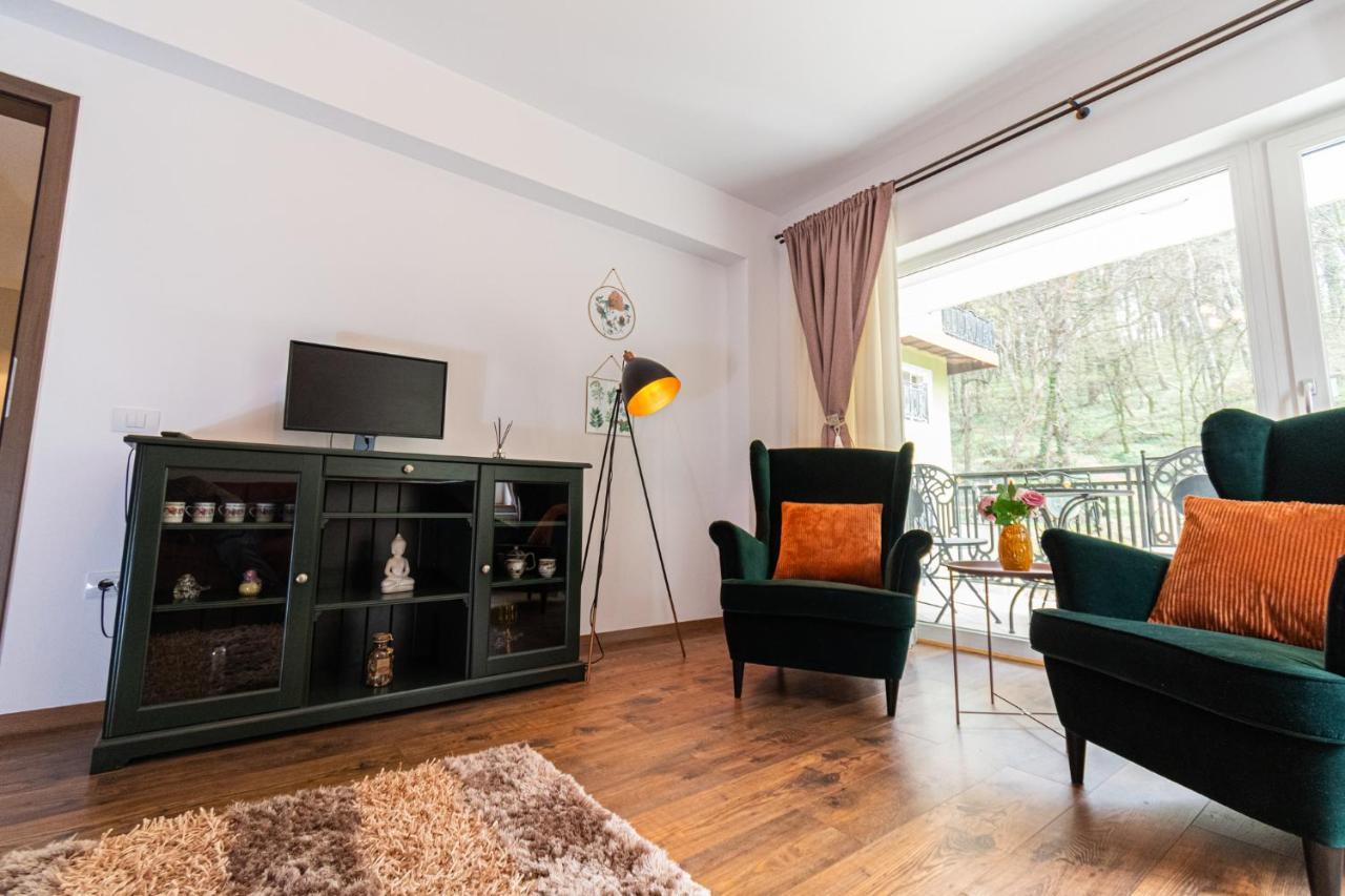 Nature Apartment - Minutes Away From The Old Town And Afi Mall 布拉索夫 外观 照片